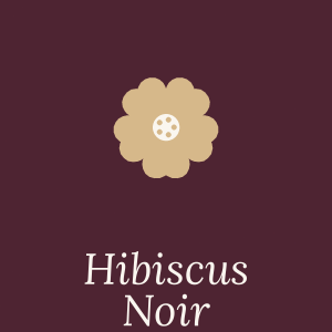 Hibiscus Noir