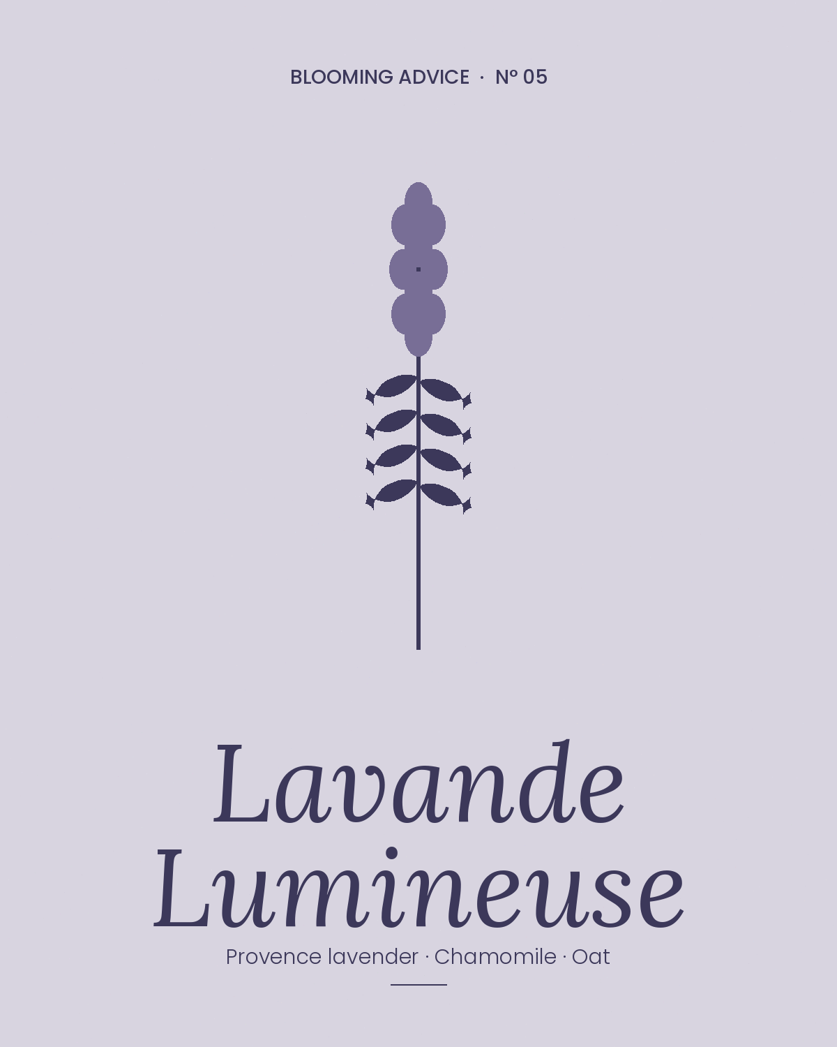 Lavande Lumineuse